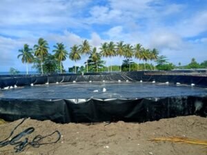 Ikan sebagai Sumber Protein Berkualitas