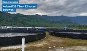 Solusi Inovatif untuk Pengelolaan Kolam Geomembrane