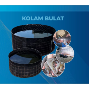 Memulai Langkah Beternak Ikan dan Udang dengan Kolam Bulat Geomembrane