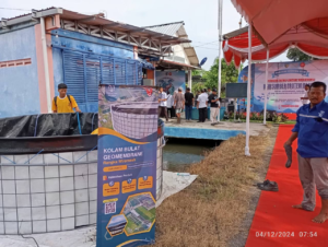 Solusi Edukasi dan Budidaya untuk Komunitas Ikan dan Sekolah