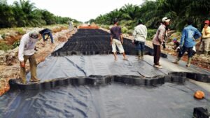 Jasa Pemasangan Geocell untuk Jalan Tambang & Perkebunan