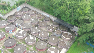 Potensi Budidaya dengan Kolam Bulat Tjap Iwak Jumbo