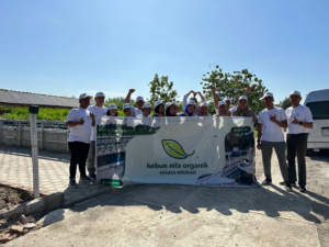 Kolam Budidaya Biorasponik Ramah Lingkungan Bersama Kebun Nila Organik