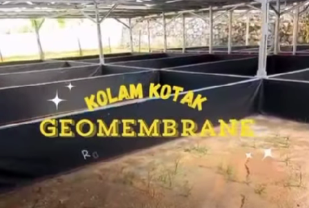 Cover Kandang Bebek Lebih Higienis, Tahan Lama, dan Mudah Dibersihkan