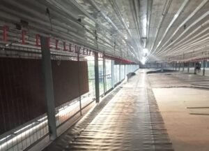 Solusi Lantai Kedap Air dan Dinding Higienis Peternakan Modern