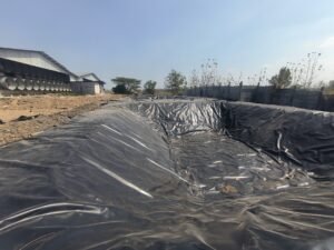 Geomembrane HDPE untuk Kolam Limbah Peternakan Bebek